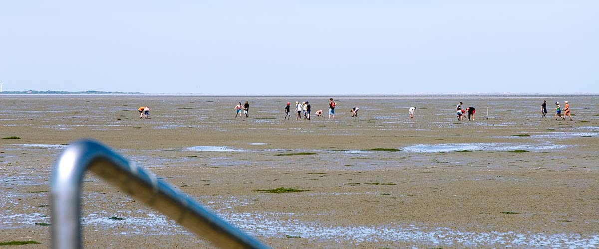 Weltnaturerbe Wattenmeer