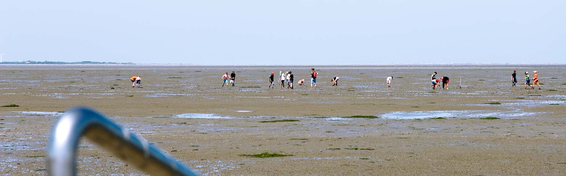 Weltnaturerbe Wattenmeer