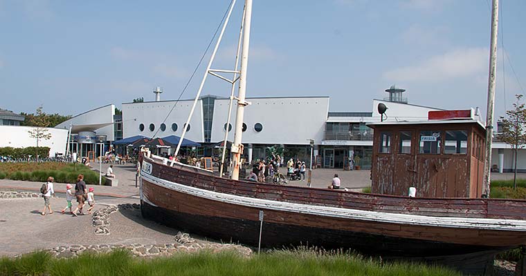 Nordseethemen