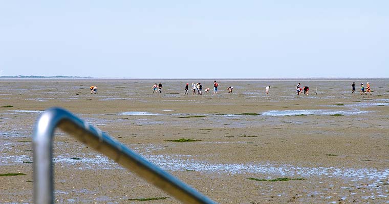 Weltnaturerbe Wattenmeer